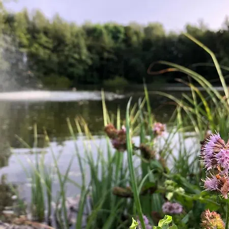 펜션 Le De L Etang Bourbourg